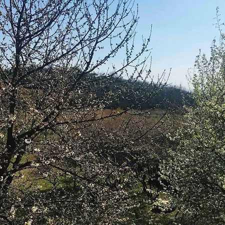 Erdoszeli Paraszthaz Holiday home