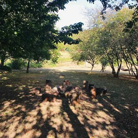 Erdőszéli Parasztház * Kékkút