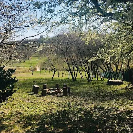 Erdoszeli Paraszthaz * Kekkut