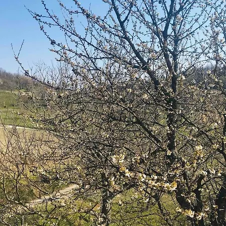 Erdőszéli Parasztház Kékkút