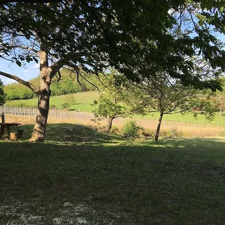 Nyaraló Erdőszéli Parasztház