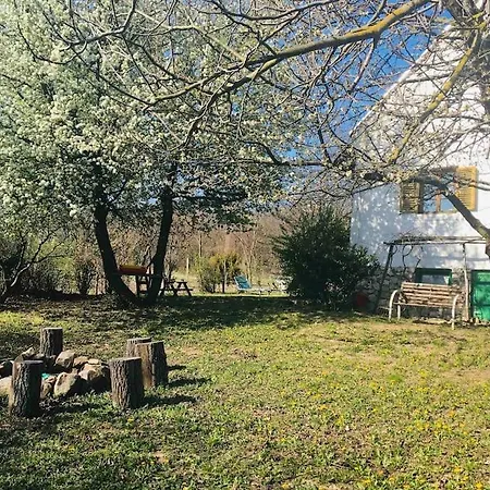 Nyaraló Erdőszéli Parasztház