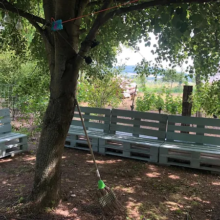 Erdoszeli Paraszthaz *