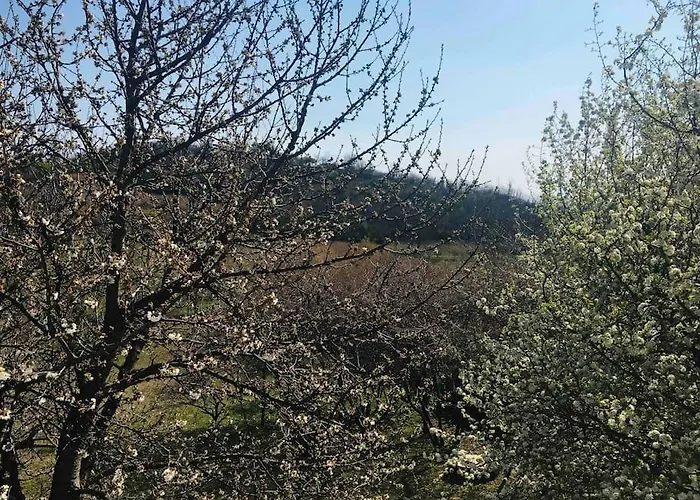 Erdoszeli Paraszthaz בית נופש