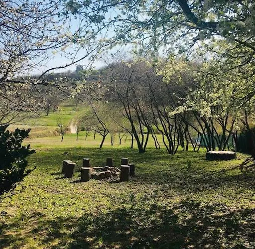 Erdoszeli Paraszthaz * Kekkut