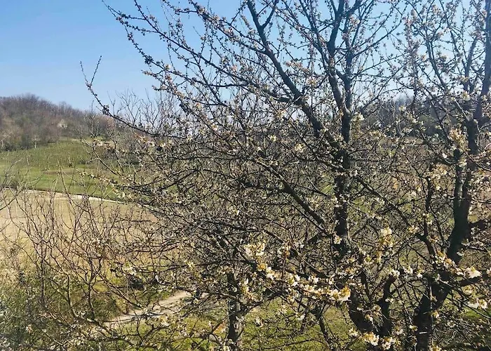 Erdoszeli Paraszthaz Kekkut